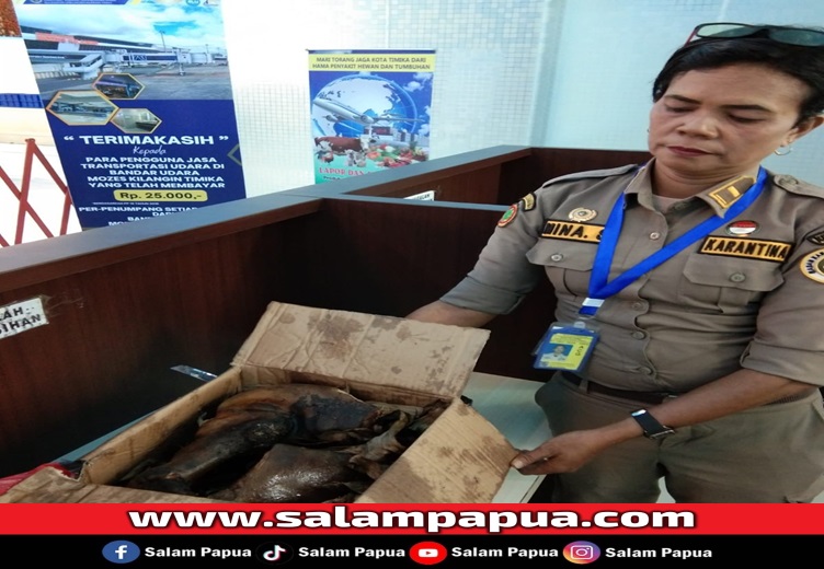 Karantina Papua Tengah Gagalkan Pengiriman 10 Kg Daging Babi Ke Jayapura