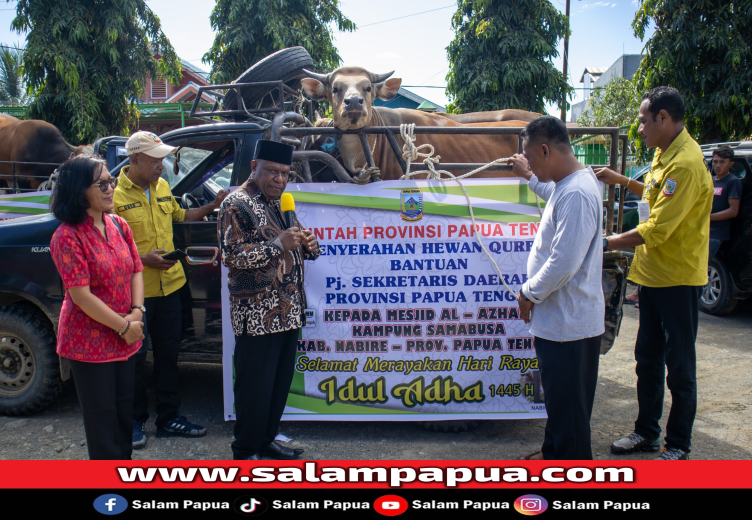 Pemprov Papua Tengah Serahkan Bantuan Hewan Kurban Presiden RI Di Nabire