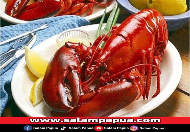 4 Fakta Mengenai Komoditas Lokal Udang Selingkuh Dari Papua