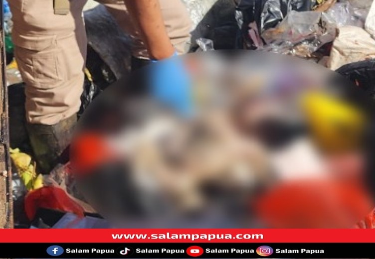 Petugas Kebersihan Kota Di Sentani Temukan Mayat Bayi Di Tempat Sampah