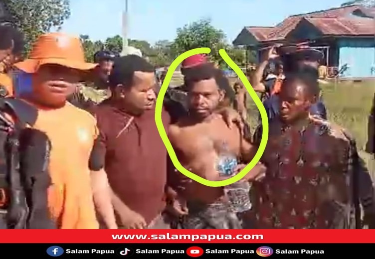 Pandis Potowaiburu Yang Hilang Misterius Akhirnya Ditemukan