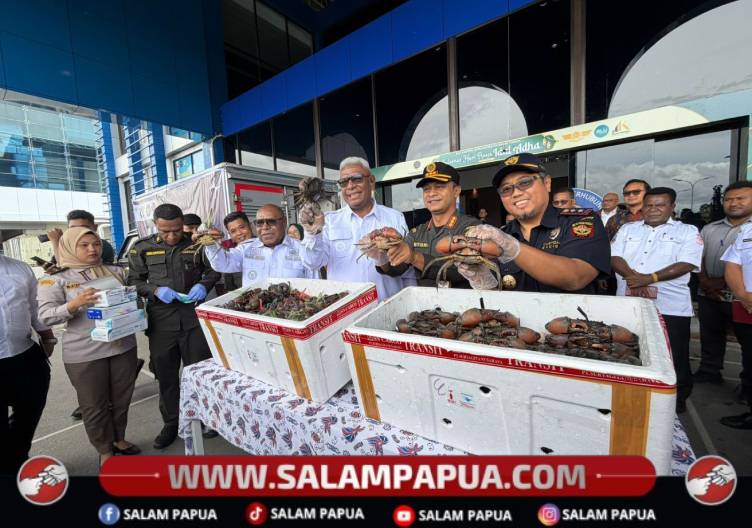 Mimika Ekspor Kepiting Bakau Ke Malaysia Dan Singapura
