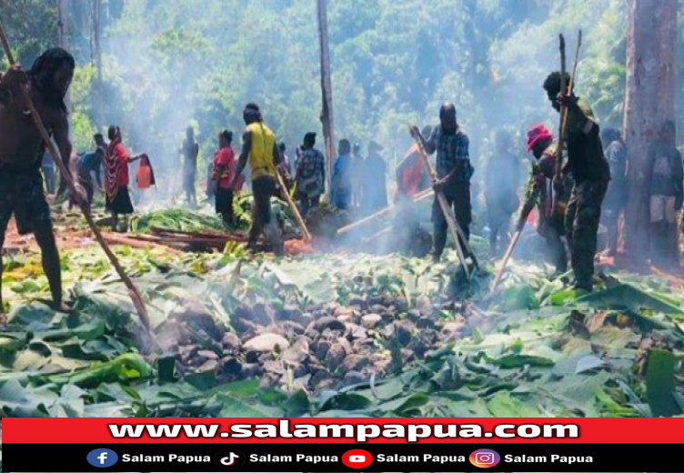 Perbedaan Tradisi Barapen Orang Papua Dulu Dan Kini Menurut Dosen Antropologi Unipa