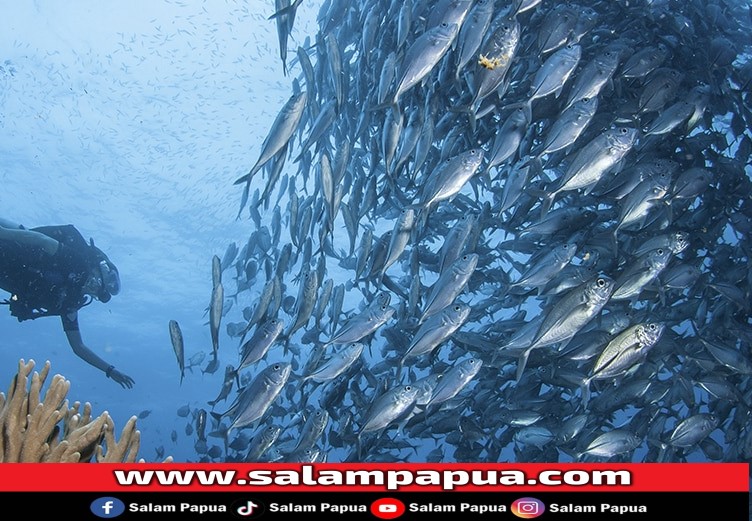 Mau Tahu Sejarah Nama Raja Ampat?