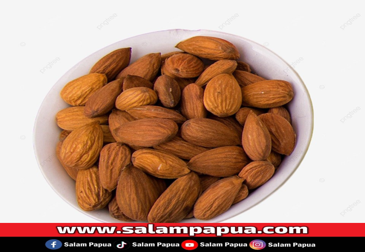 Kacang Almond (PNGTree.Com)