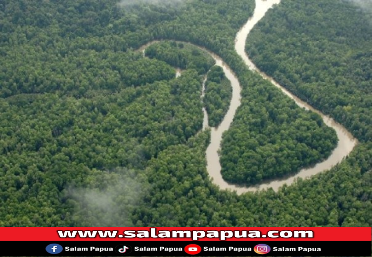 Ini 5 Provinsi Dengan Kawasan Hutan Terluas Di Indonesia, Papua Nomor Berapa?