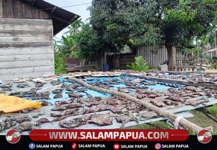 Populasi Rusa Meningkat Di Mimika Barat, Jadi Sumber Penghasilan Warga