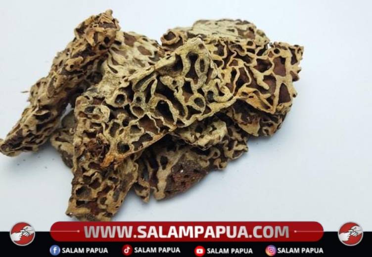 7 Manfaat Sarang Semut Untuk Kesehatan Tubuh