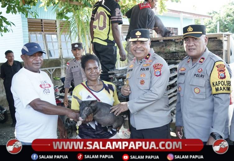 Peduli Kesejahteraan Warga, Kapolda Papua Tengah Salurkan Bibit Babi Untuk Peternak Di Makimi