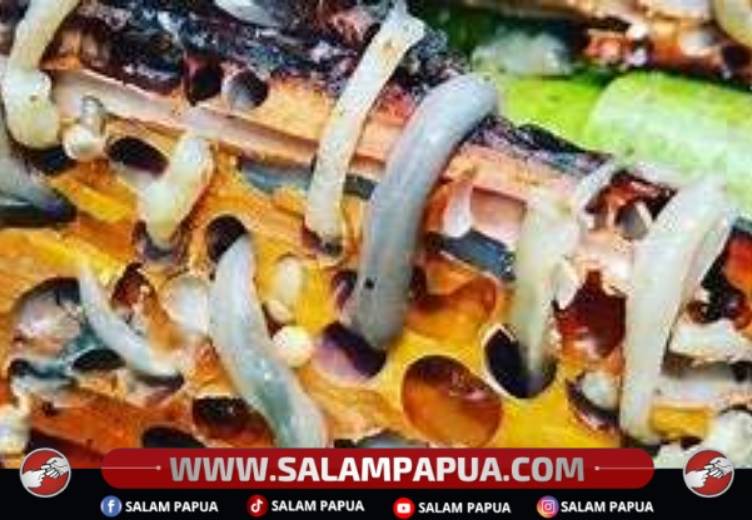 Mengenal Tambelo, Pangan Tradisional Kaya Protein Yang Menjadi Warisan Masyarakat Papua