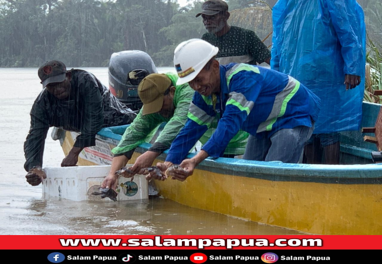 Difasilitasi PTFI, KLHK Lepasliarkan 4.605 Kura-Kura Moncong Babi Di Kampung Nayaro