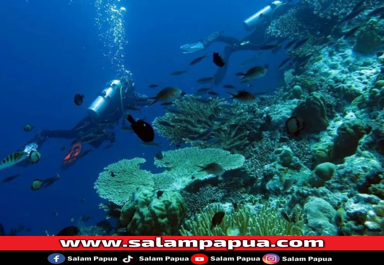 Pantai Anggopi Biak (Keluyuran.Com)