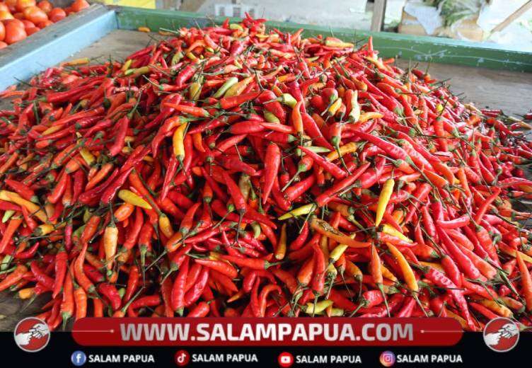 Produksi Turun Akibat Cuaca, Harga Cabai Lokal Di Timika Melonjak Hingga Rp120 Ribu Per Kilogram