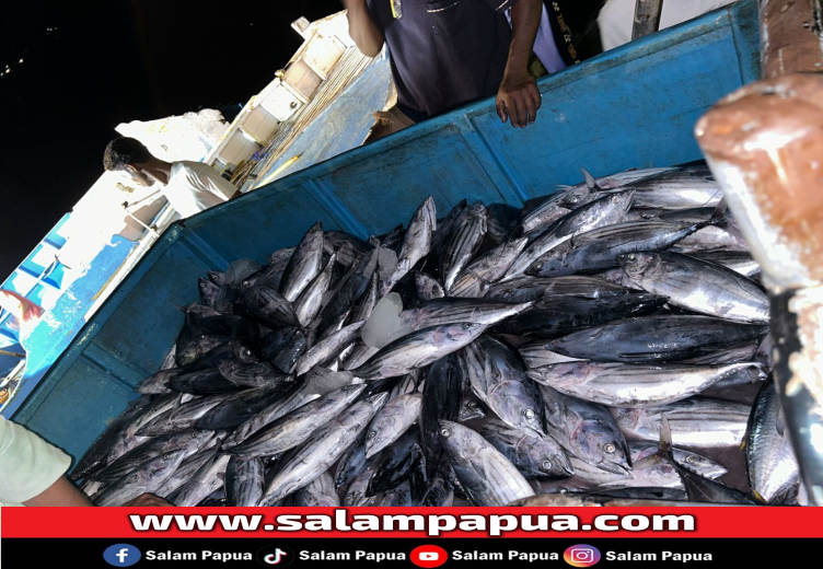 Ikan Tuna (Tuna Consortium)