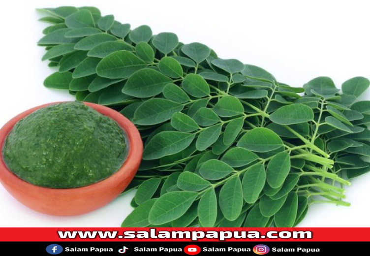 6 Manfaat Daun Kelor Untuk Atasi Stunting Pada Anak