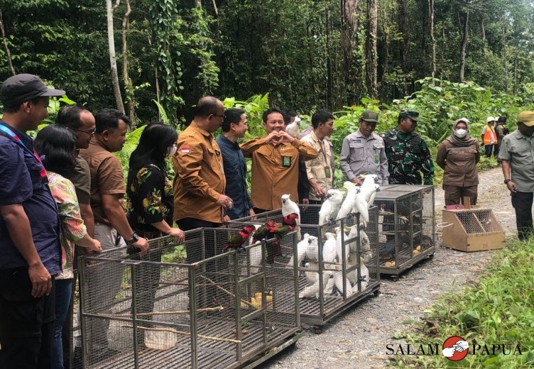 Pelepasliaran satwa liar di kawasan hutan Kuala Kencana, Distrik Kuala Kencana, Kabupaten Mimika, Papua Tengah (Foto:salampapua.com/Evita)