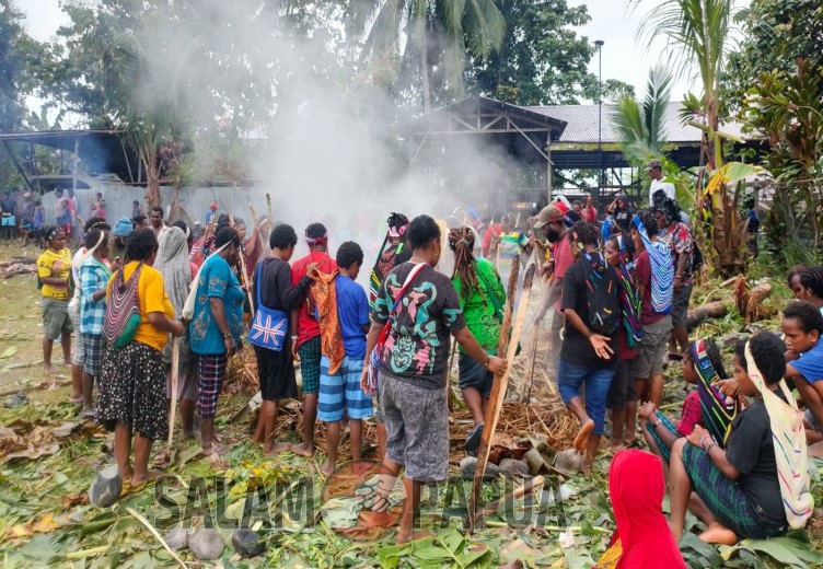 Masyarakat Amungme saat membongkar daging babi olahan dalam pesta adat bakar batu (Foto:salampapua.com/Acik)