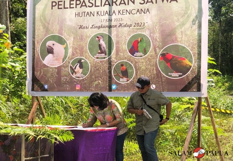 Tandatangan berita acara kegiatan oleh Kepala Dinas Peternakan dan Kesehatan Hewan Pemkab Mimika, drh. Sabelina Fitriani (Foto:salampapua.com/Evita)